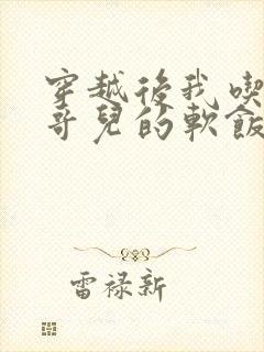 穿越后我吃到了哥儿的软饭炉山灰封面