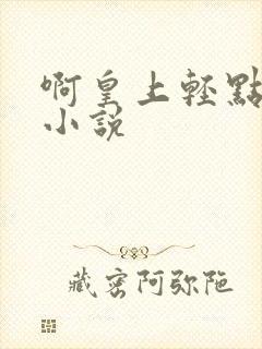 啊皇上轻点奶头小说封面