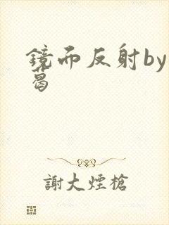 镜面反射by九葛封面