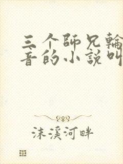 三个师兄轮流上音的小说叫什么封面