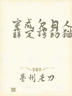 穿成欠日人设后薛定谔的猫咖封面