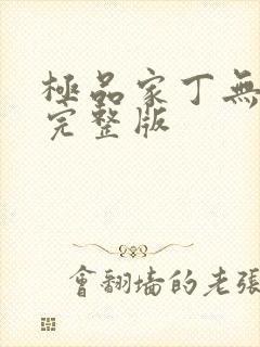 极品家丁无删减完整版