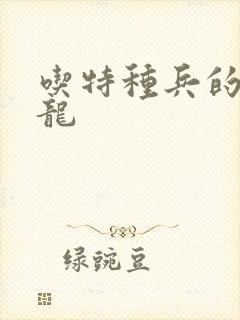 吃特种兵的大黑龙