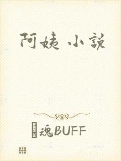 阿姨 小说封面
