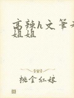 高辣h文笔趣阁姐姐