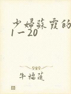 少妇苏霞的沉沦1一20