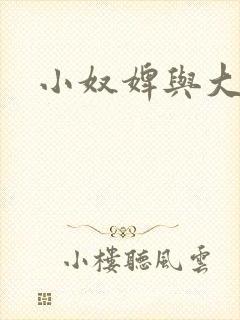 小奴婢与大少爷