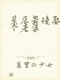 叶辰最后娶了5个老婆