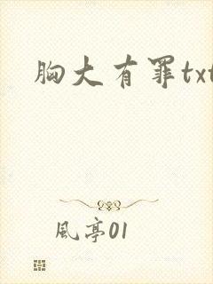 胸大有罪txt