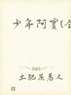 少年阿宾(全)封面