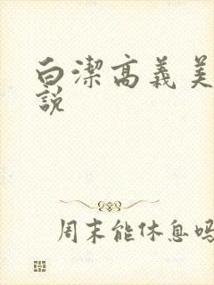 白洁高义美红小说