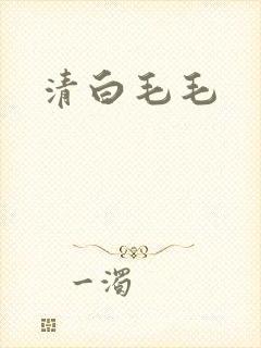 清白毛毛