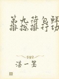 第九荷包鲜辣肉排总排行功能介绍封面