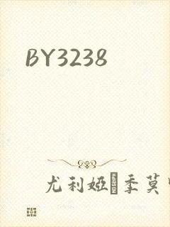 BY3238