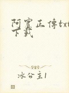 阿宾正传txt下载