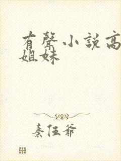 有声小说高树三姐妹封面