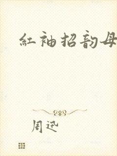 红袖招韵母攻略