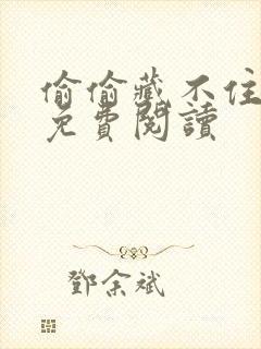 偷偷藏不住小说免费阅读