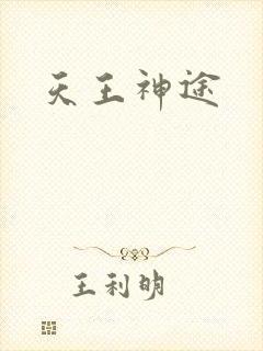 天王神途封面