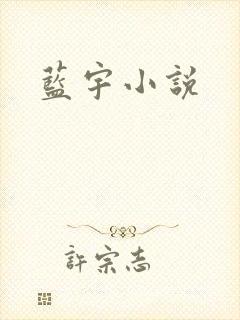 蓝宇小说