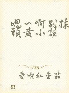 嗯～啊别揉我奶头黄小说