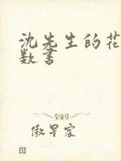 沈先生的花式调数书