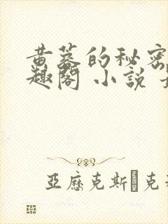 黄蓉的秘密 笔趣阁 小说 最新章节在线阅读