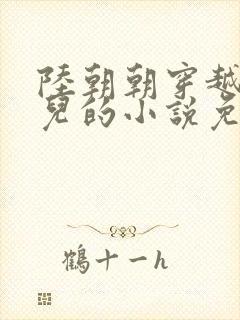 陆朝朝穿越成婴儿的小说免费阅读全文封面