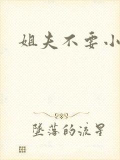 姐夫不要小说