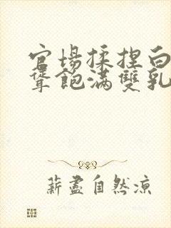 官场揉捏白嫩高耸饱满双乳小说封面