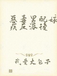 恶毒男配嫁给残疾反派后