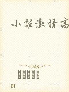 小说激情高h