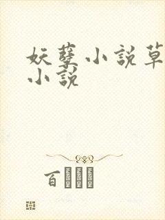 妖孽小说草莓酱小说