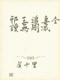 邪王追妻全文阅读无删减封面