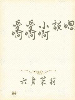 爱爱小说嗯嗯嗯啊啊啊封面