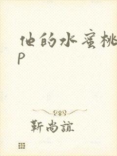 他的水蜜桃pop封面