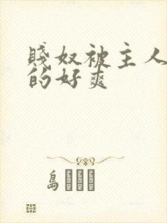 贱奴被主人调教的好爽封面