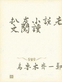 扒灰小说老马全文阅读