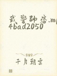 武警帅痞.mp4bad2050