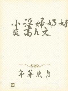 小淫妇奶好大好爽高h文