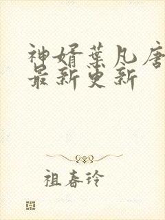 神婿叶凡唐若雪最新更新