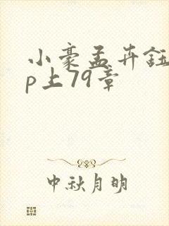 小豪孟卉钰慧三p上79章封面