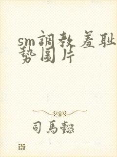 sm调教羞耻姿势图片