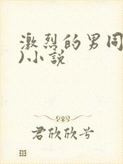 激烈的男同(h)小说封面