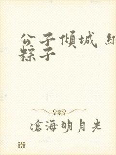 公子倾城 维和粽子封面