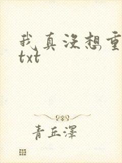 我真没想重生啊txt