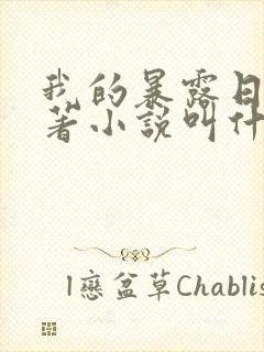 我的暴露日记原著小说叫什么