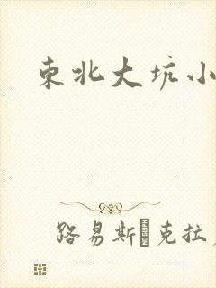 东北大坑小说
