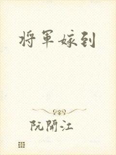将军嫁到
