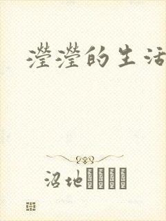 滢滢的生活日记封面